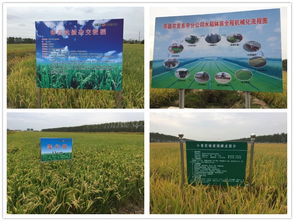 技术推广服务中心 推动创新成果转化的桥梁